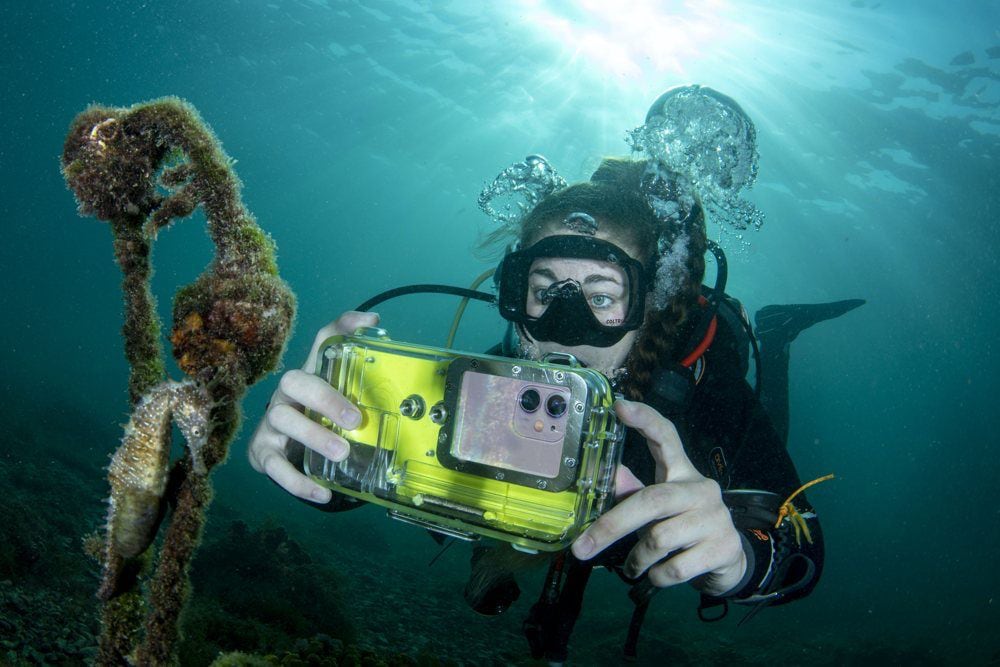 Choice when it comes to underwater housings for your smart phone