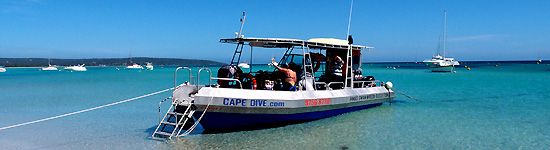 Cape DIve takes its divers out on a comfortable rigid hull inflatable. Cape Dive, Dunsborough, Geographe Bay, Western Australia.