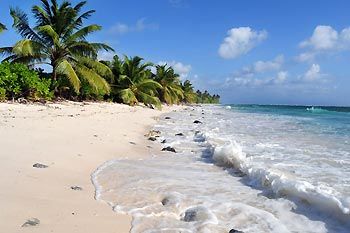 White sandy beaches, fringed with cocos palms on Cocos Keeling Islands